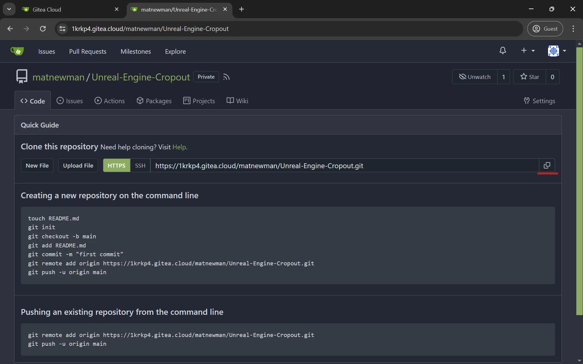 Copy the repository link to clipboard. You will use it later in your Git client