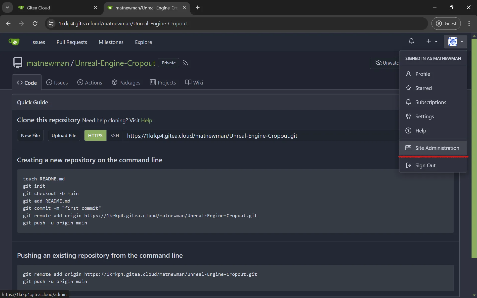 On Gitea, go to your profile picture and from the menu pick “Site Administration”