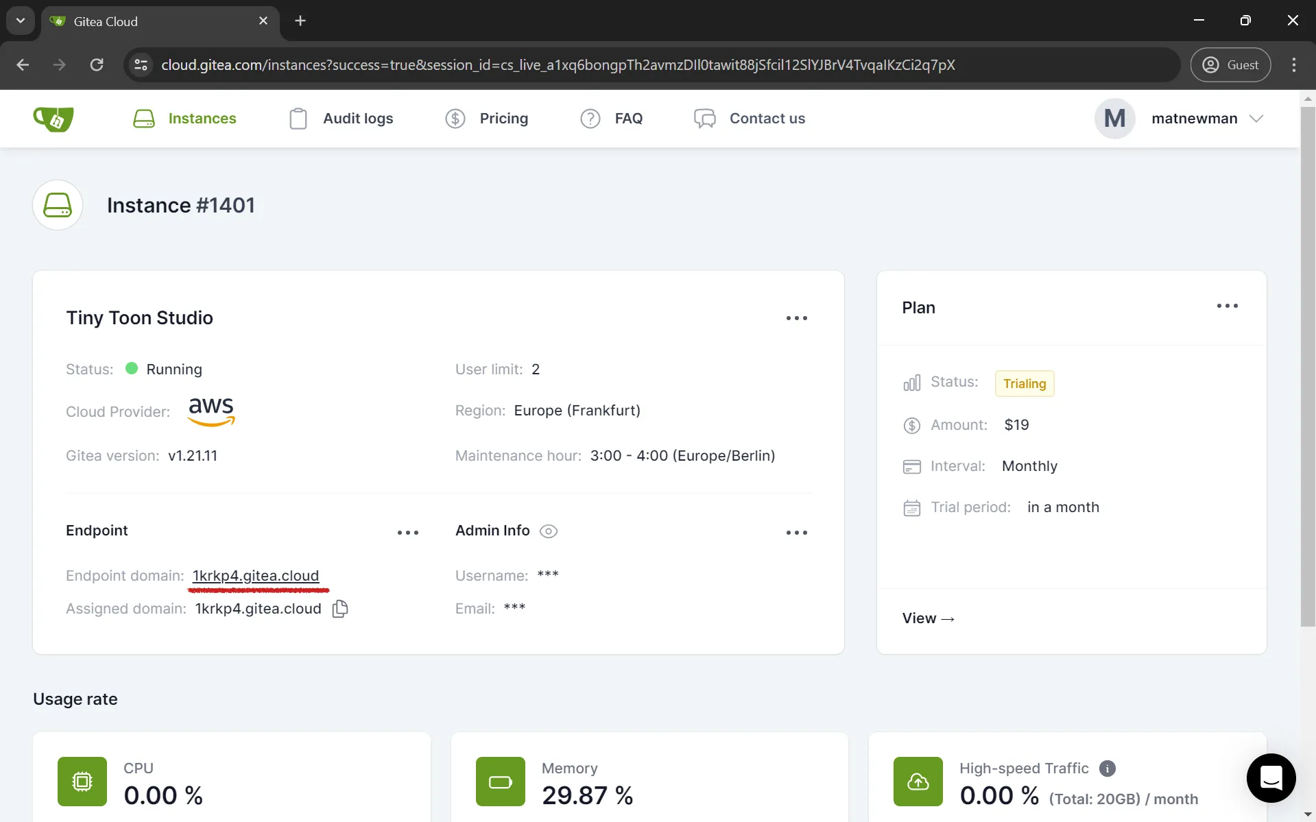 Your Gitea instance should be running. Access it by clicking on the endpoint domain.