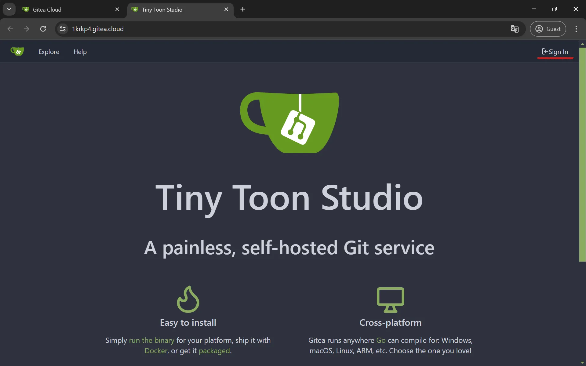 Sign in and use the same credentials that you have used to setup your instance